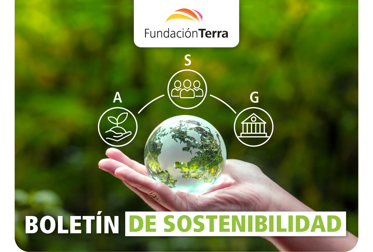 Boletín de Sostenibilidad